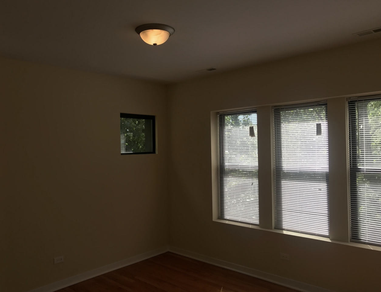 6603 N Campbell Ave #1 - Photo 6 of 12