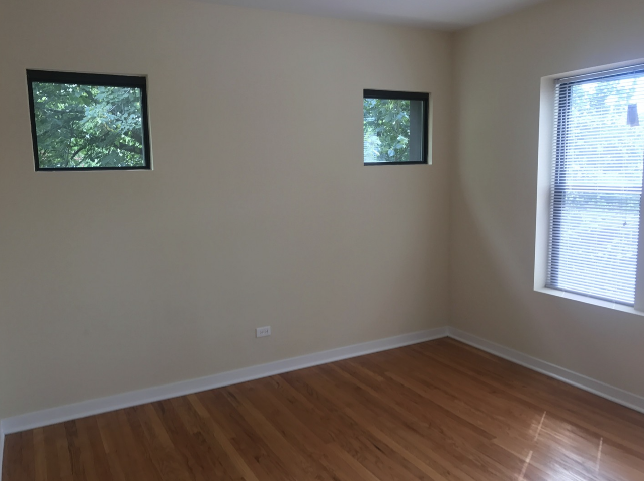 6603 N Campbell Ave #1 - Photo 7 of 12