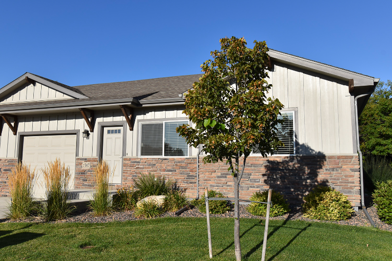 1507 Snowy Range Ct - Photo 3 of 22