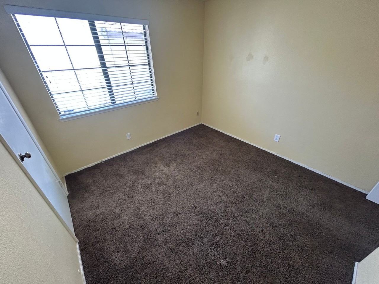 6653 Joe Michael Way - Photo 6 of 16