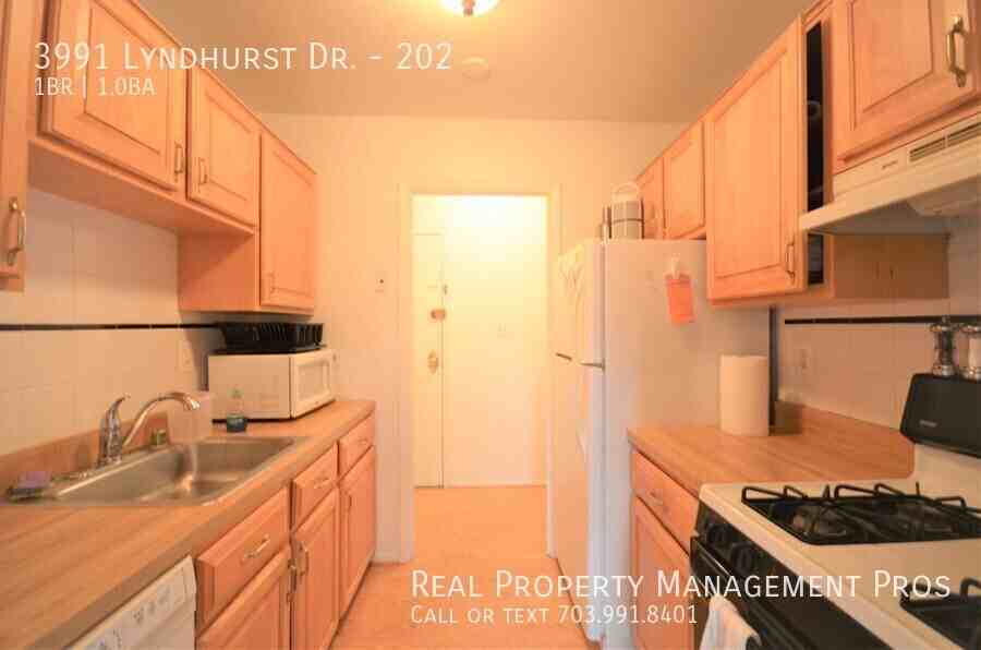 3991 Lyndhurst Dr #202 - Photo 4 of 12