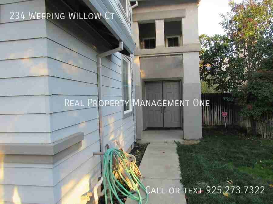 234 Weeping Willow Ct - Photo 3 of 26