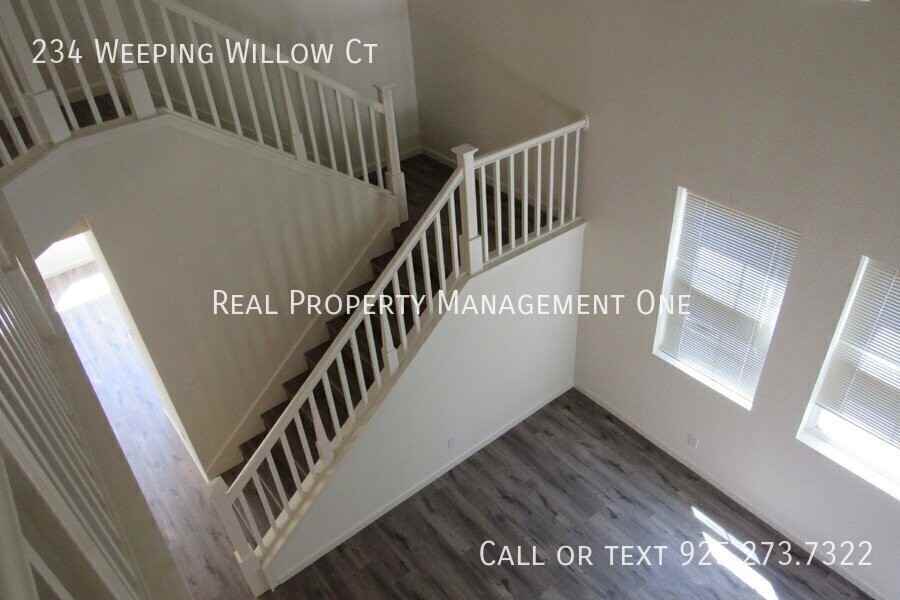 234 Weeping Willow Ct - Photo 4 of 26