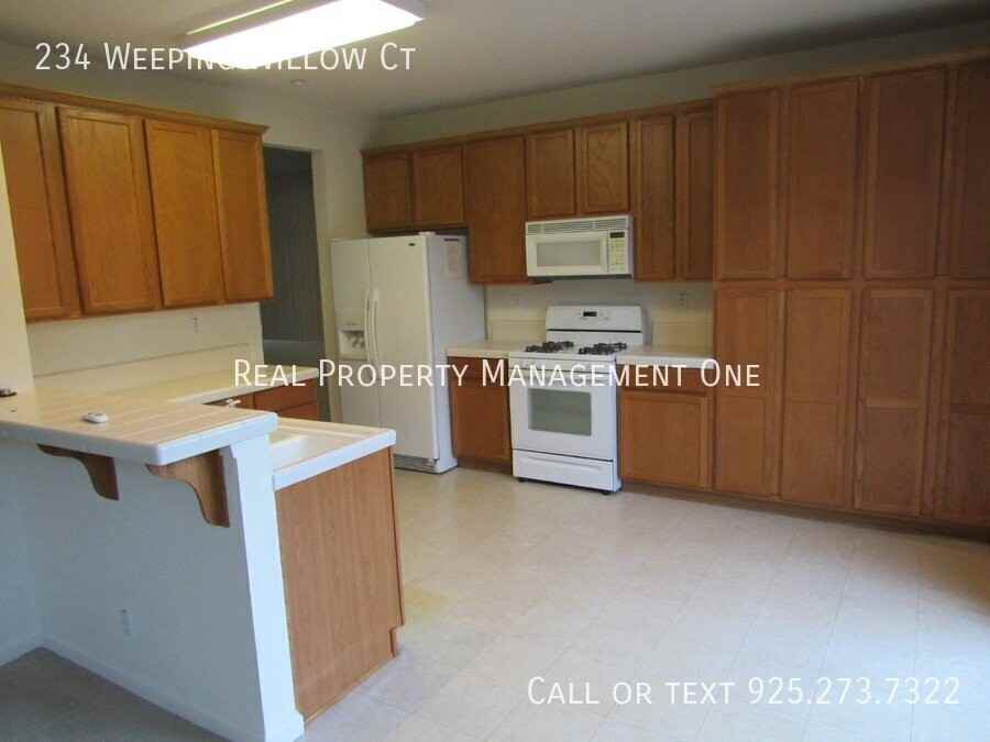 234 Weeping Willow Ct - Photo 5 of 26