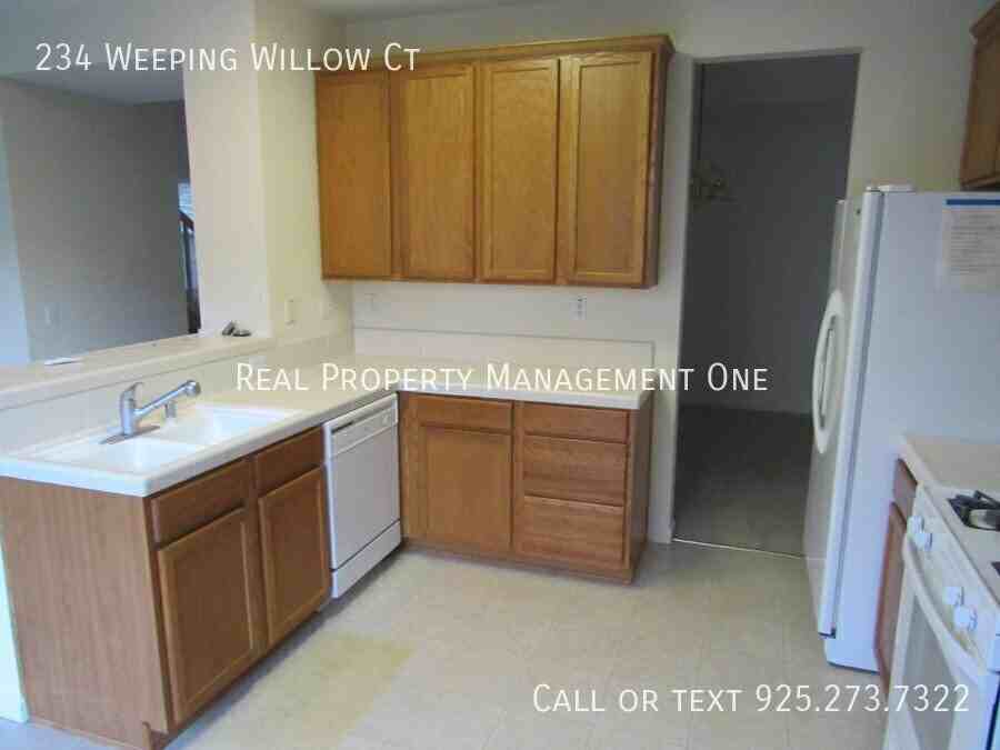 234 Weeping Willow Ct - Photo 6 of 26