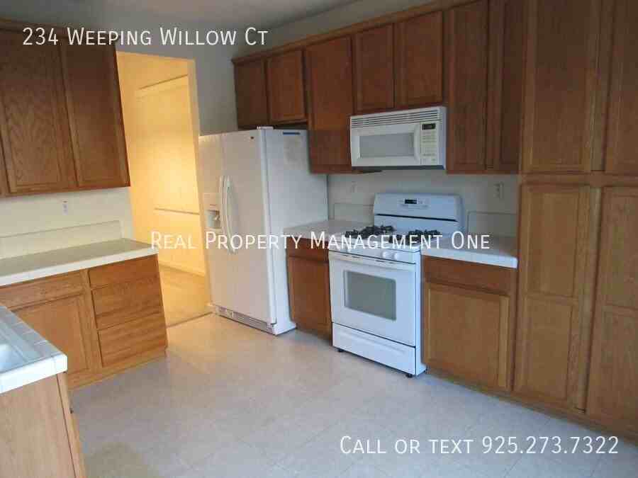 234 Weeping Willow Ct - Photo 7 of 26