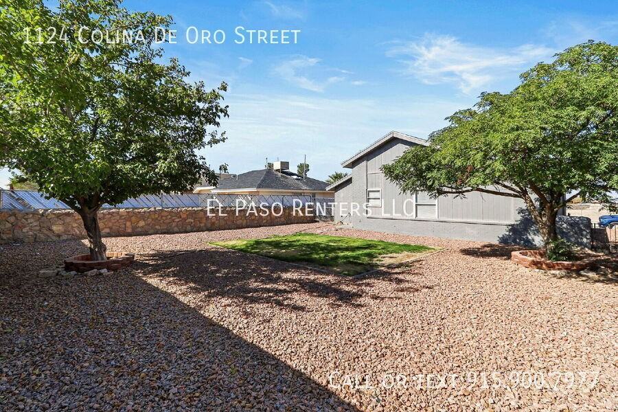 1124 Colina De Oro St - Photo 2 of 30