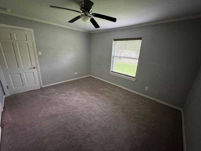 506 Peterson Rd - Photo 3 of 18