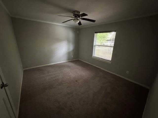 506 Peterson Rd - Photo 6 of 18