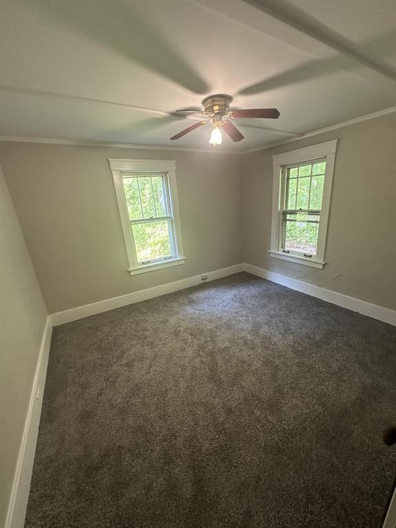 164 N Park St - Photo 6 of 16