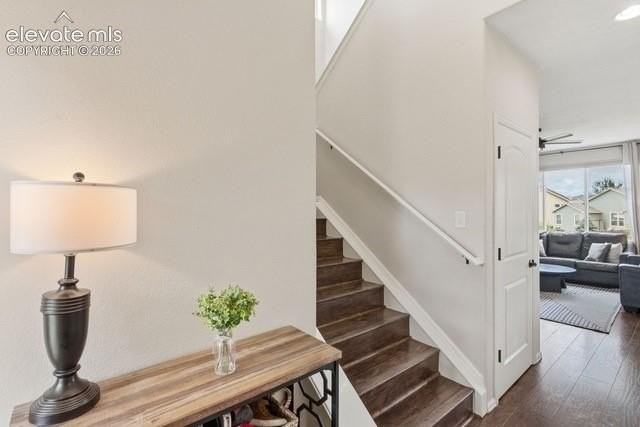 4656 Katahdin Way - Photo 3 of 30