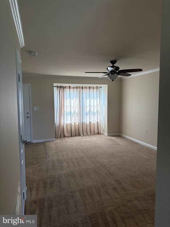 1130 Stallion St - Photo 3 of 24