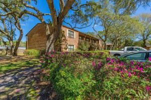 featured image of 211 Tooke St Apt G #Apt G