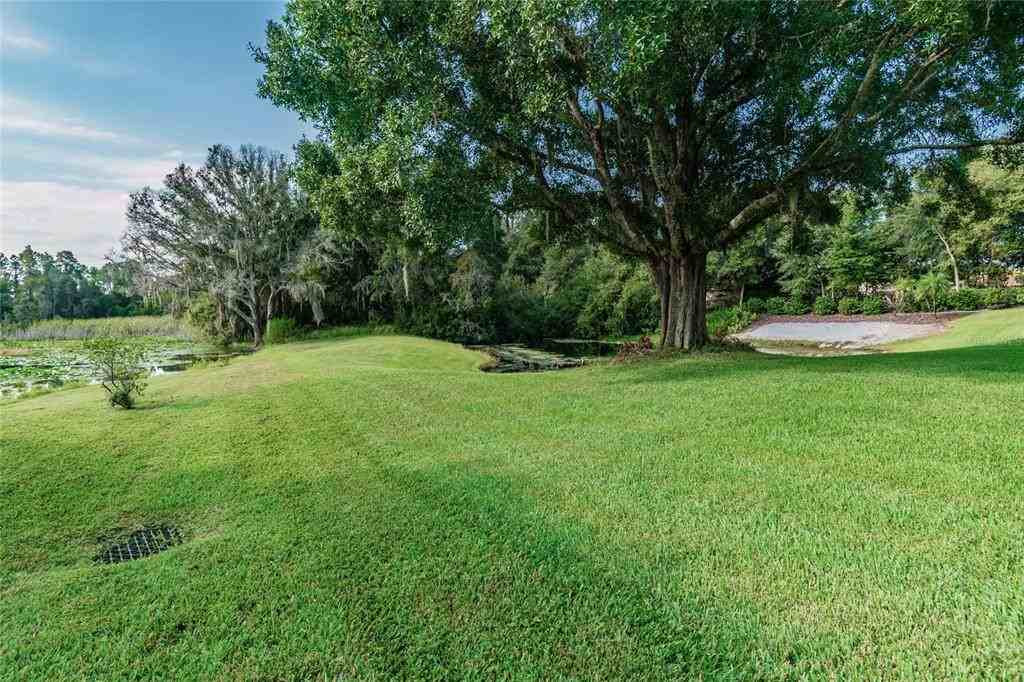 1107 Oxbridge Dr - Photo 7 of 50