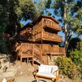 517 Canon View Trl - Photo 1 of 1