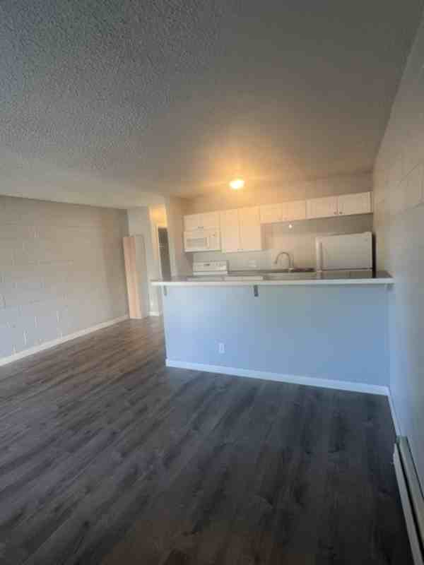 2229 Collyer St #8 - Photo 3 of 6