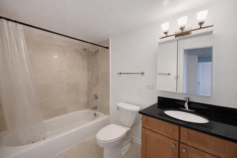 4180 N Marine Dr #1312 - Photo 7 of 10