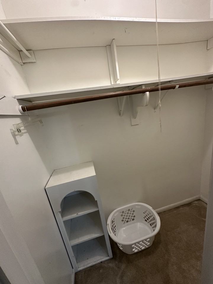 223 Blue Castle Ln - Photo 5 of 6
