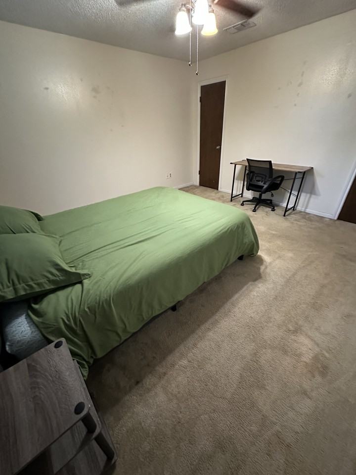 223 Blue Castle Ln - Photo 4 of 6