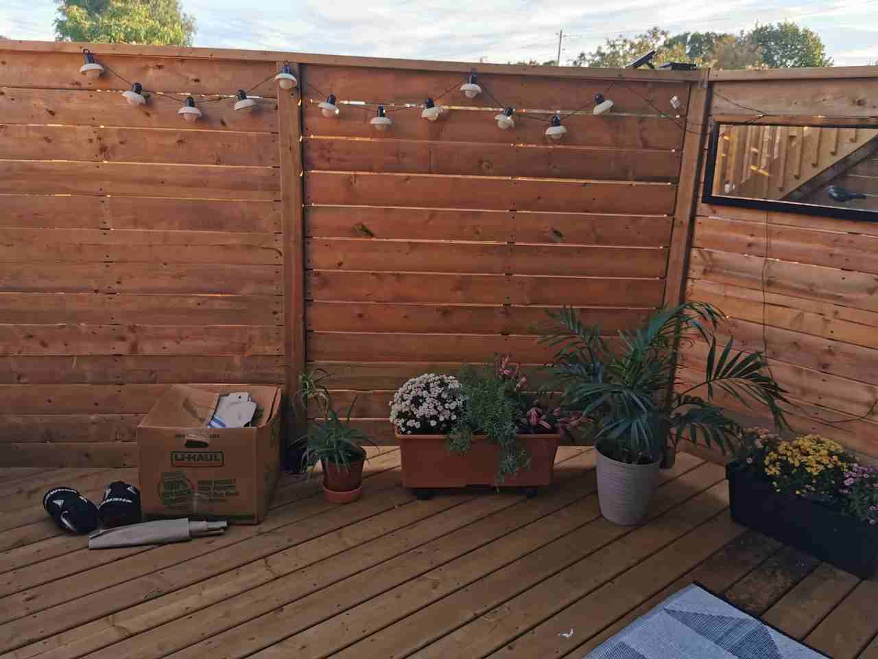 1809 Danforth Avenue - Photo 16