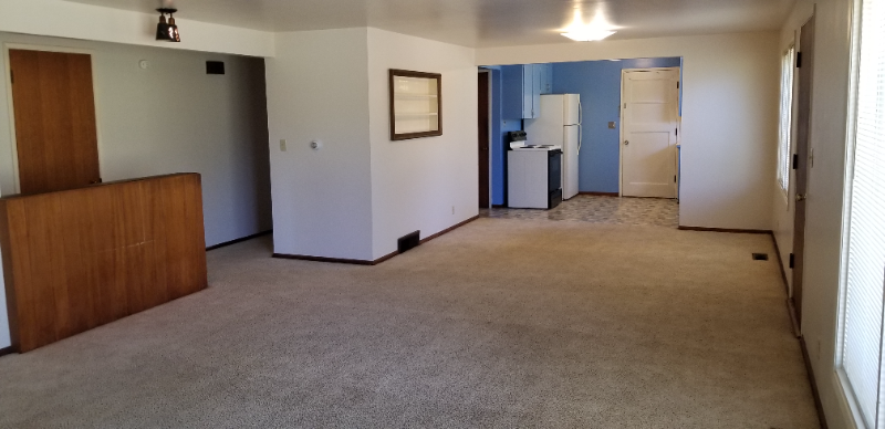 9128 48th Ave S - Photo 4 of 16