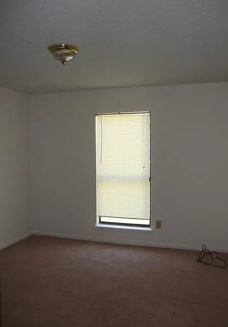 228 Yaupon Dr #230 - Photo 4 of 7