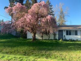 featured image of 16336 Se 131st Pl