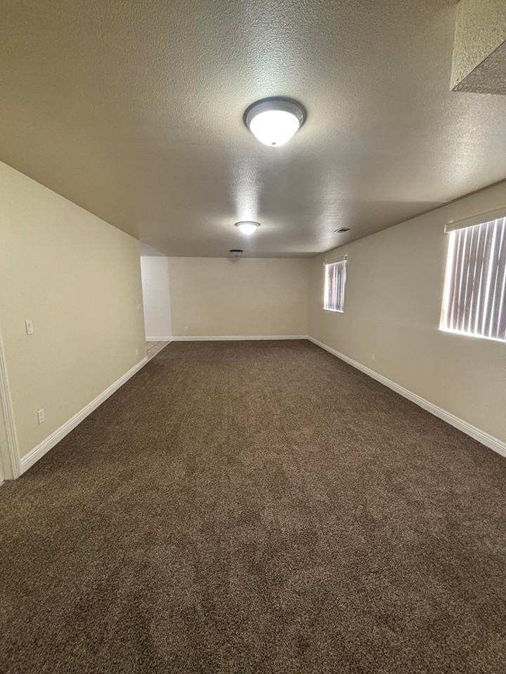 149 East 109th Place - Photo 5 of 21