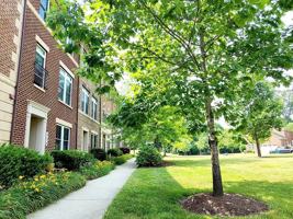 featured image of 342 White Ash Pl
