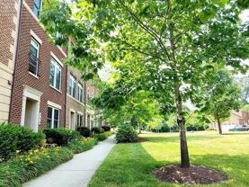342 White Ash Pl - Photo 1 of 1