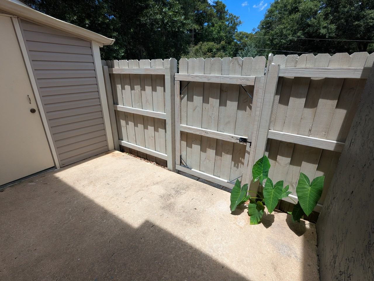 566 Teal Ln #566 - Photo 5 of 26