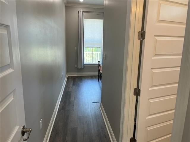 3503 Urquhart St - Photo 5 of 16