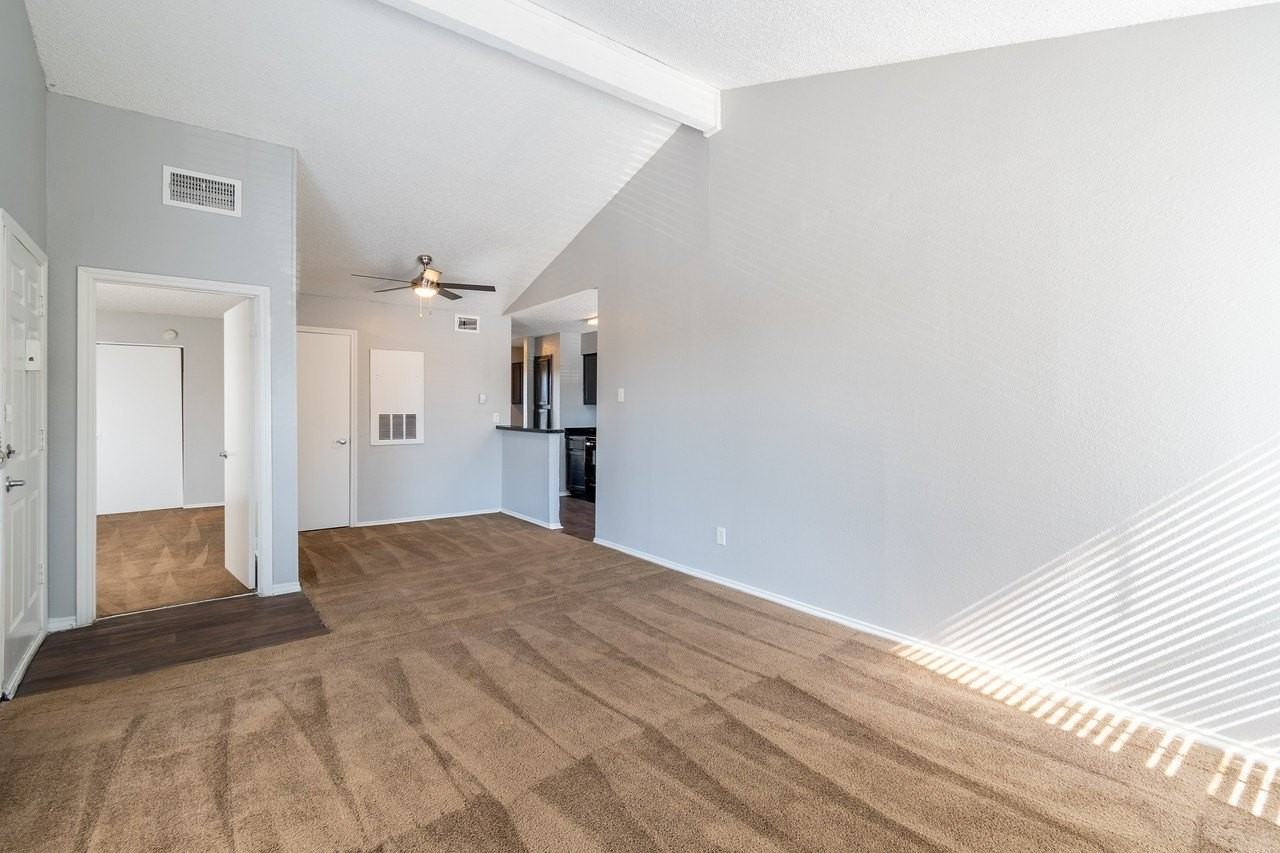 8383 La Prada Dr - Photo 6 of 14