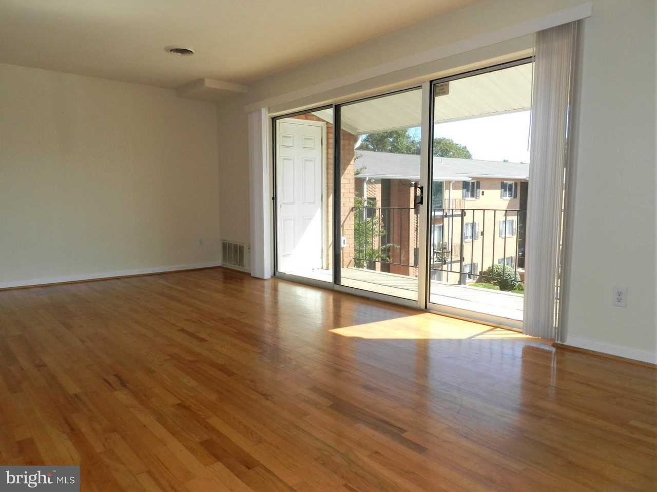1805B William St #205 - Photo 2 of 18