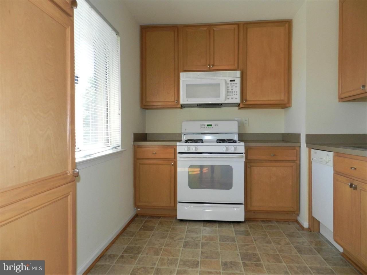 1805B William St #205 - Photo 7 of 18