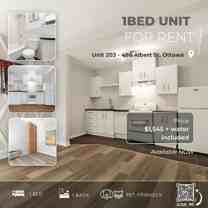 486 - 486 Albert Street #203 - Photo 1 of 1