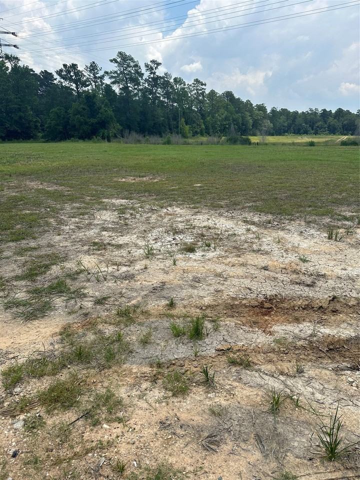 34616 State Highway 249 - Photo 3 of 10