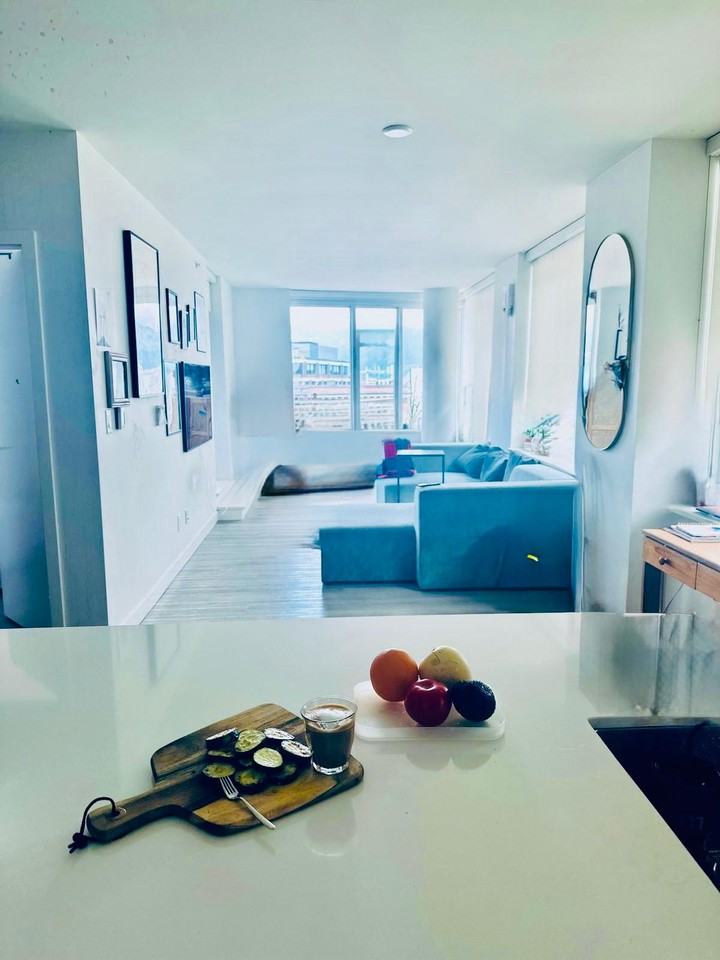 209 East 7th Avenue #406 - Photo 4 of 14