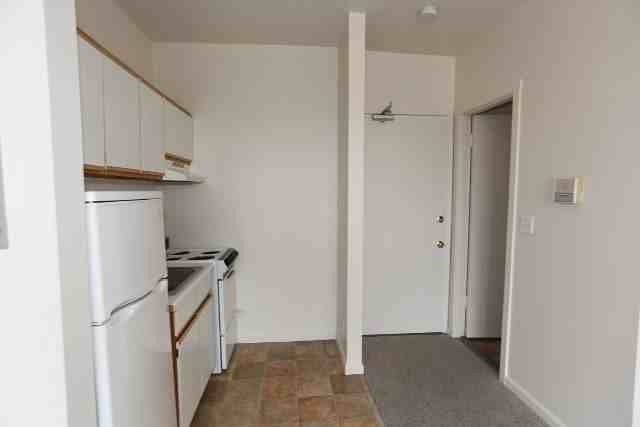 3957 W Irving Park Rd #307 - Photo 3 of 11