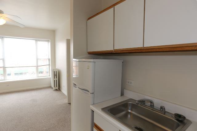 3957 W Irving Park Rd #307 - Photo 4 of 11
