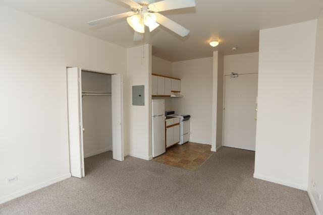 3957 W Irving Park Rd #307 - Photo 6 of 11