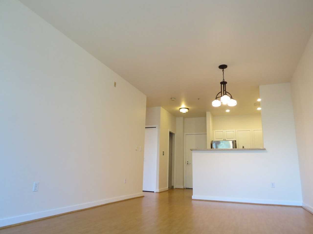 2414 1st Ave #315 - Photo 4 of 26