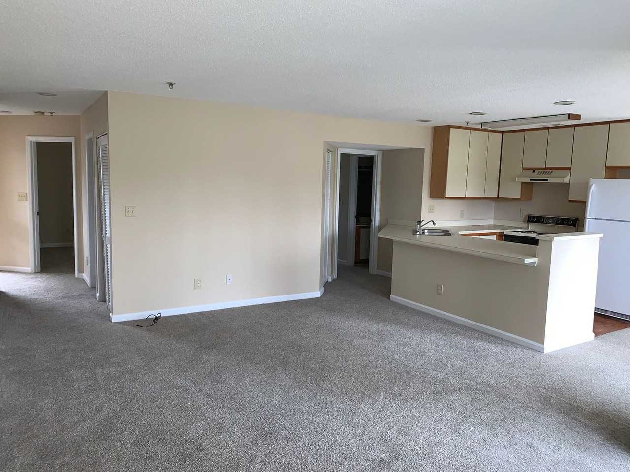 1101 Possum Trot Rd - Photo 3 of 16
