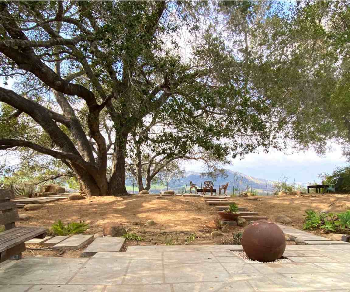 11051 Puesta Del Sol - Photo 5 of 18