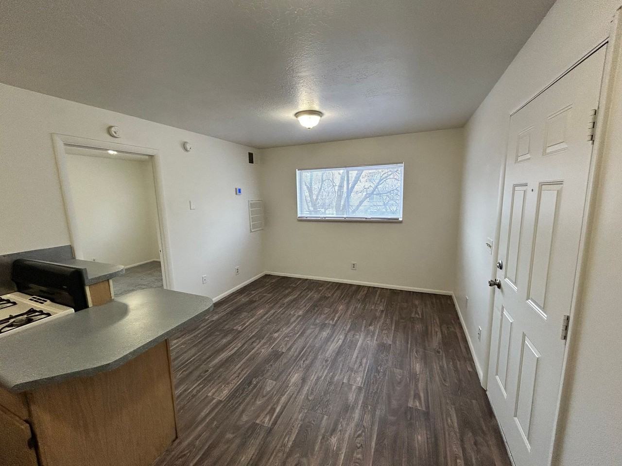 Tortugas Apartments - Photo 7 of 22