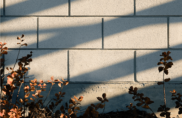 AURA Rivermead par brigil | Aylmer, rue Morley - Photo 6 of 31