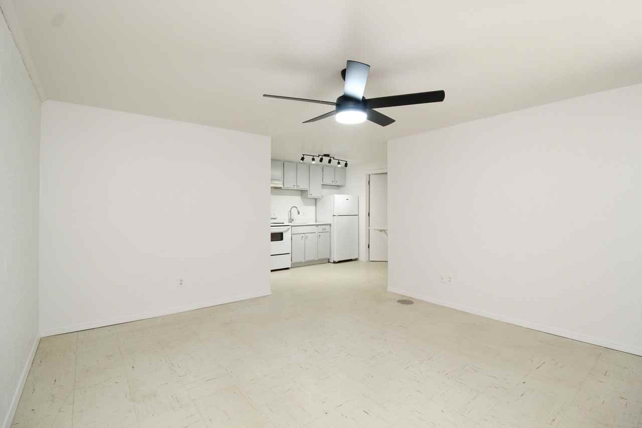 652 W Adams St #652AS - Photo 6 of 11