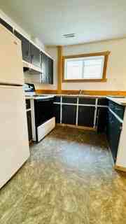 8804 87 Ave Lowr #DN - Photo 6 of 15