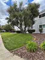 featured image of 2364 Las Plumas Ave