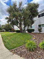 2364 Las Plumas Ave - Photo 1 of 1